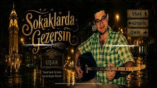 Sokaklarda Gezersin - Seydi Ceylan (Elektro Bağlamalı)