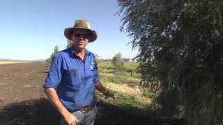 Tips on planting nature corridors
