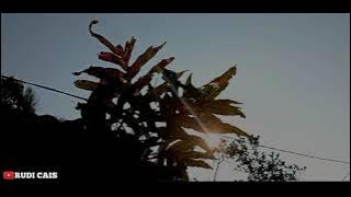CINEMATIC PAGI HARI | STORY WA 40 DETIK | CINEMATIC 40 DETIK |MORNING CINEMATIC VIDEO STORY WA INDAH