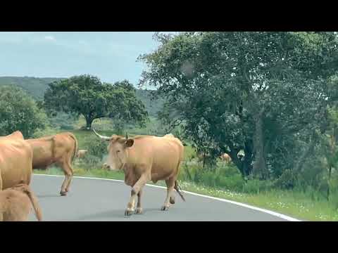 الريف الإسباني 