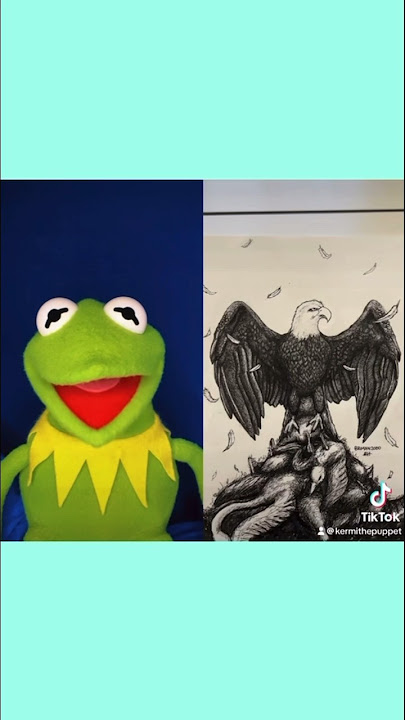 The Bald Eagle’s Revenge TIKTOK With Kermit The Frog
