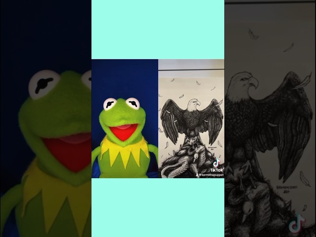The Bald Eagle’s Revenge TIKTOK With Kermit The Frog class=