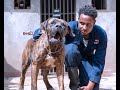 Dog Tv Kenya Episode 1 (Koge Wagido Kennel, Thome Estate Nairobi)