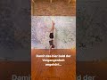Lerne den Handstand mit Nando #yogafuerdich #shorts #yogatutorial