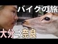 【大分⇒奈良】#14 本土最西端と広島お好み焼きと奈良の鹿と大仏とパトロール【半蔵日本一周バイクの旅】