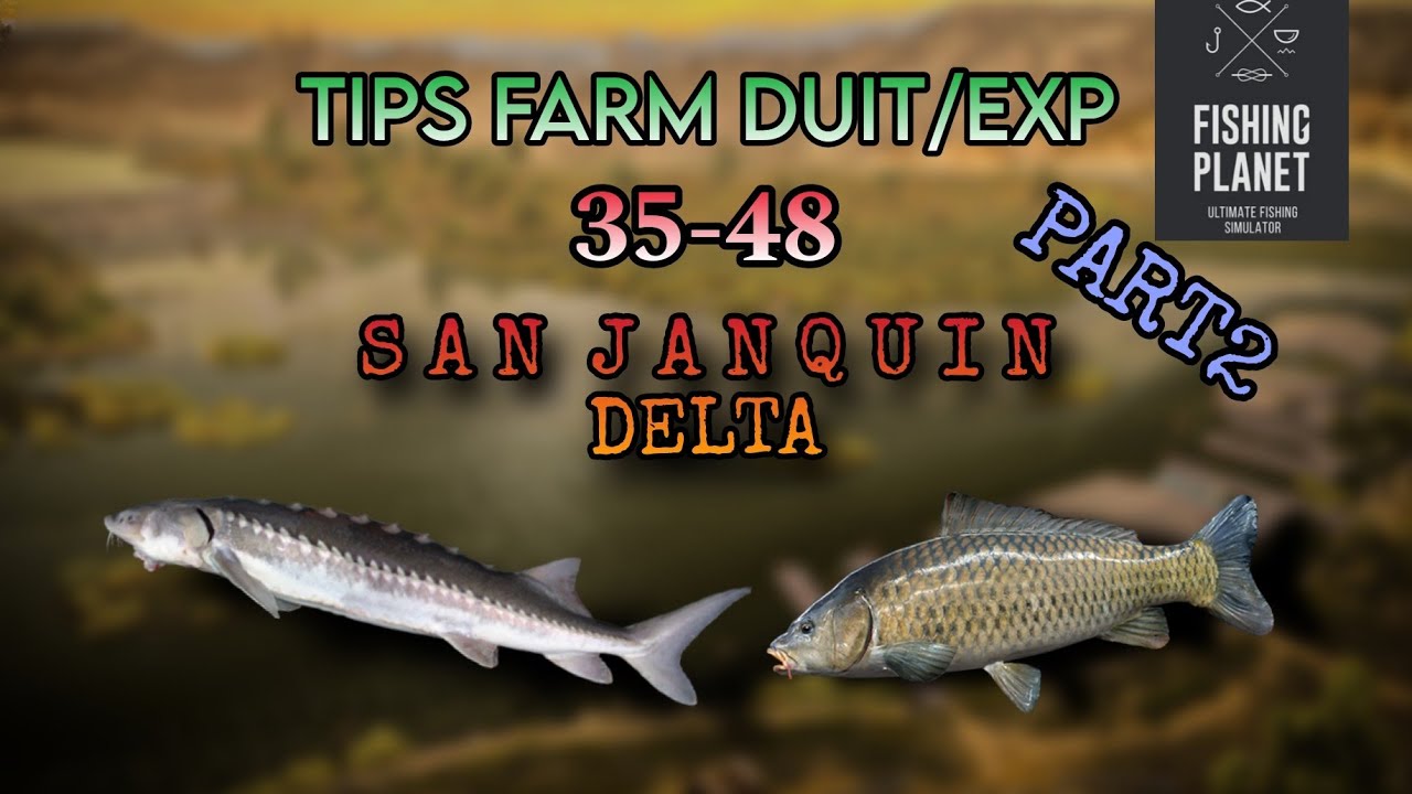 TIPS FARM DUIT/EXP 35-48 SAN JANQUIN DELTA PART 2 | FISHING PLANET ...