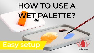 How to use a wet palette? screenshot 2