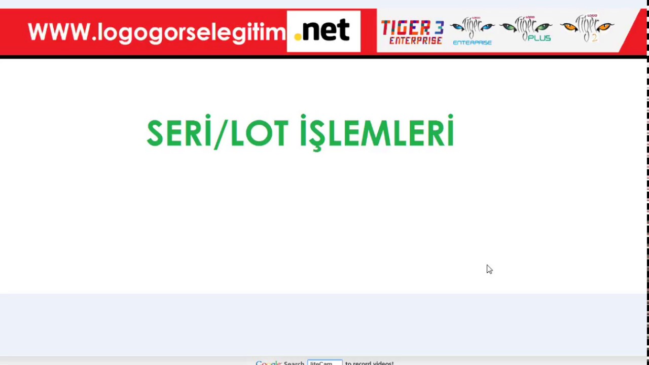 Logo - Seri Lot İşlemleri ( Seri/Lot Takibi)