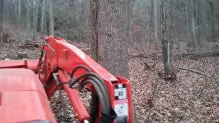 Logging, splitting.firewood, dropping tress.Back to the woods! 1# of 3#