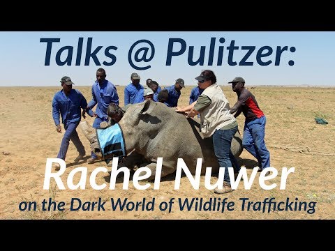 Talks @ Pulitzer: Rachel Nuwer on the Dark World of Wildlife Trafficking