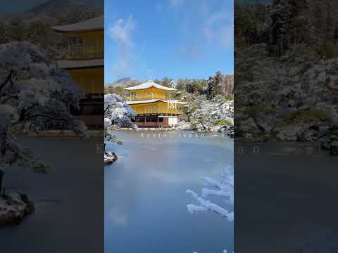 下雪的金閣寺有多美？冬季京都最夢幻一幕！