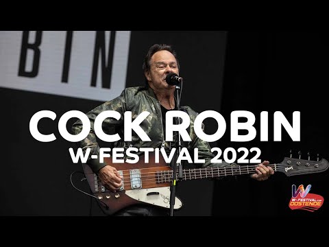 Cock Robin - The Promise You Made