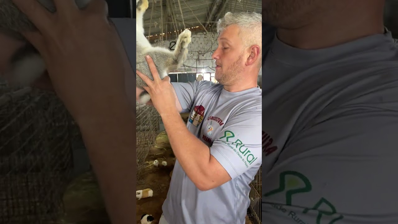 Disponíveis 17/11/2025