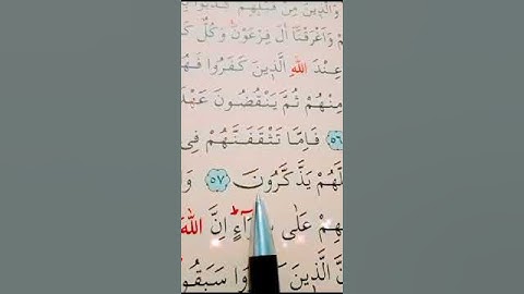 سورة الأنفال الأية 56 إلى 59 القارئ سعد الغامدي