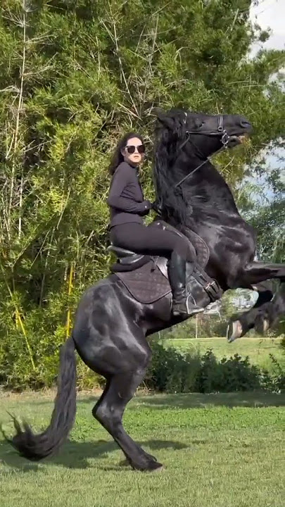 Tha Horse Roars