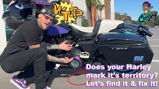 Celebrity How to: Let’s Identify & Fix That Leaking Harley Primary⚡️Including Tools Needed Profile