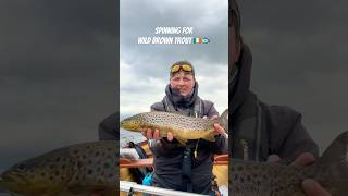 Download Lagu Nice one going back 🐟🎣 #shorts #trout MP3 Download Lagu Nice one going back 🐟🎣 #shorts #trout MP3