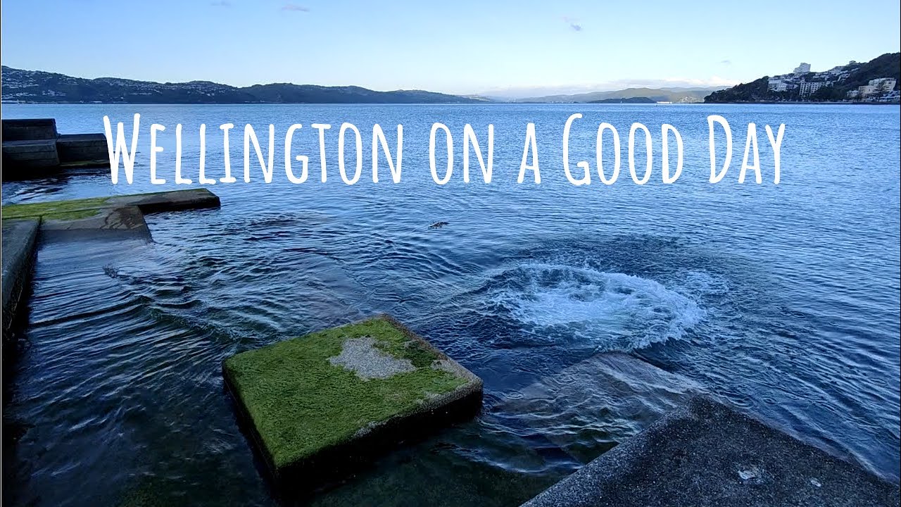 Wellington on a Good Day - New Zealand Short Film - YouTube
