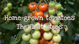 Grow awesome Tomatoes!  Pt1-Seed sowing by Adam Woodhams 2,497 views 2 years ago 2 minutes, 46 seconds