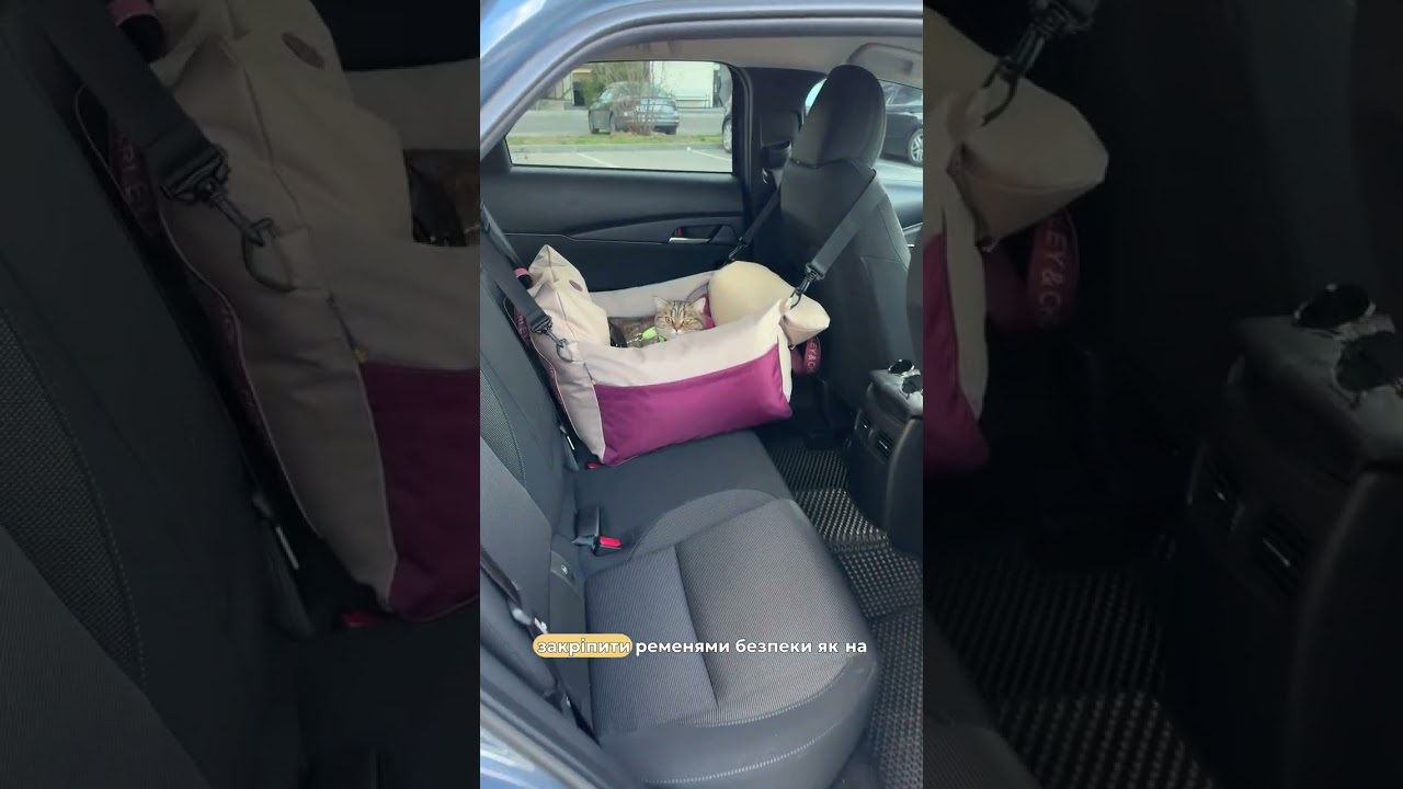 Автокрісло-лежанка в авто для кішки Buggy Wine Автокрісло-лежанка в авто для кішки Buggy Wine