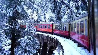 #111 Daily Dose of 🚧 #Train 🛤️ #Railway 🚂 #LevelCrossings 🚦 #High-speed .mp4