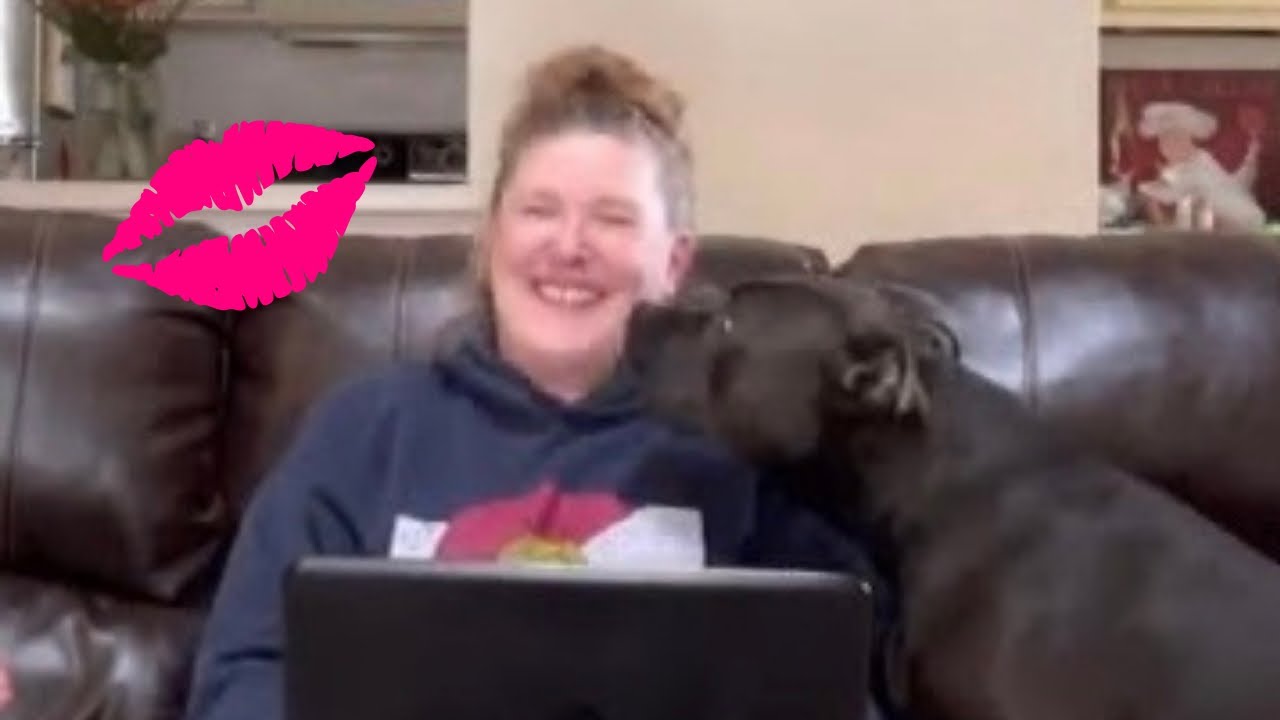 I Kissed My Dog On The Head To See What Would Happen. Cute Reaction! 