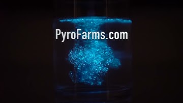 Discovering the Beauty of Natural Bioluminescence: Grow Bioluminescent Algae at Home