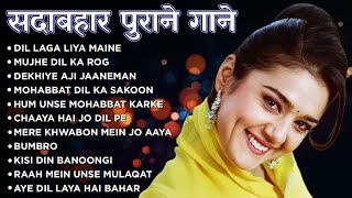 Download Lagu पुराने हिंदी गाने | 90’s Evergreen Hits | Audio Jukebox | Old Bollywood Melodies | Dil Laga Liya MP3 Download Lagu पुराने हिंदी गाने | 90’s Evergreen Hits | Audio Jukebox | Old Bollywood Melodies | Dil Laga Liya MP3