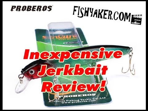 Inexpensive Proberos Jerkbait Fishing Lure Review: Episode 642 