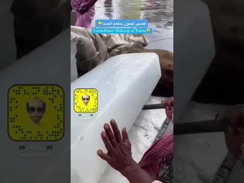 ربابة هندية مضحك ههههههههههه