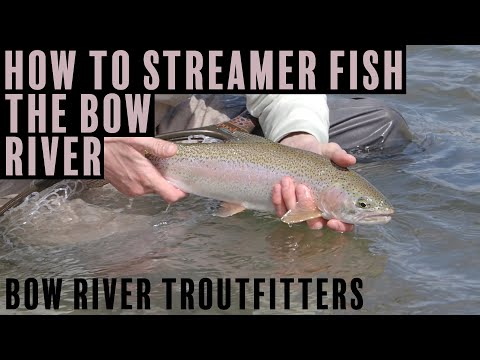 Bow River Troutfitters 