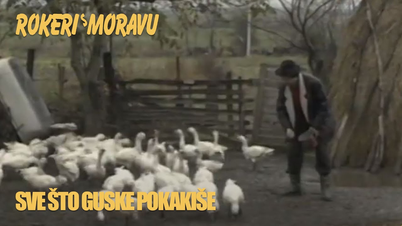 ROKERI S MORAVU / SVE ŠTO GUSKE POKAKIŠE (OFFICIAL VIDEO)