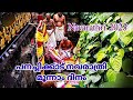 Festival special panachikkad devitemple  ulsavam today subscribe templesviewschannel1