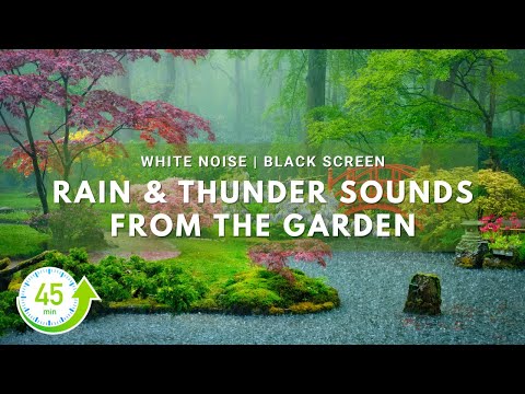 White Noise |