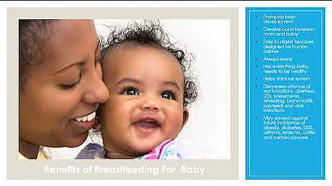 Hobson Tamika Breastfeeding Clinical Health Projec...
