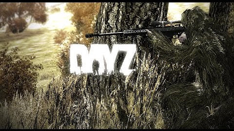 DayZ Standalone - Hacker in Elektro
