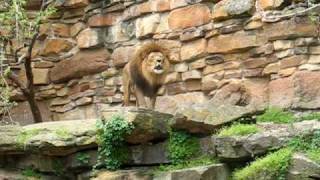 MVI_6855.AVI