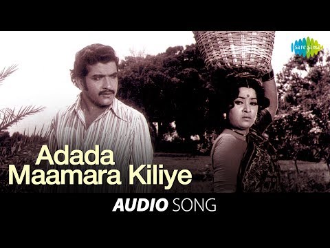 chittu-kuruvi-|-adada-maamara-kiliye-song-|-sivakumar,-sumithra-|-ilaiyaraja