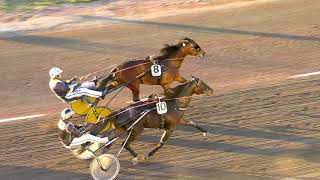 Vidéo de la course PMU PRIX VIZIR PONT VAUTIER