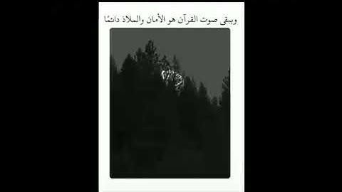 اكتب شئ يشفع لك يوم القيامه : ما تيسرا من القرآن الكريم