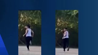 Police looking for Pasadena park attacker