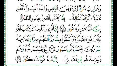 ختمة مصحف التجويد برواية الدوري الصفحة رقم 437