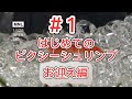 【#1】超初心者のピクシーシュリンプお迎え