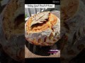 Join us in our Facebook group, “Baking Great Bread At Home“. ￼ https://bit.ly/3e7S4wA