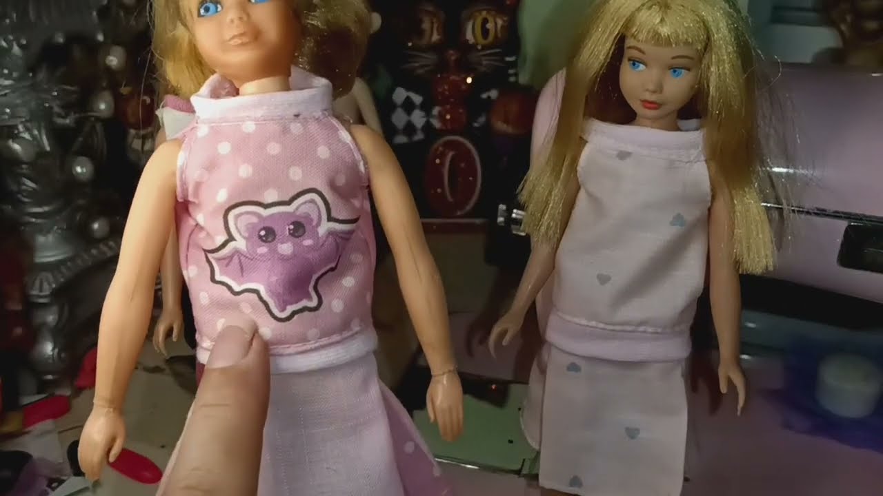 Recreating Skipper Dog Show pattern