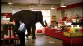 Mastercard Priceless Elephant