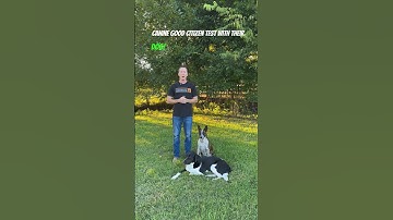 AKC Canine Good Citizen Test #dogtraining #dogtrainer #dogtrainingtips