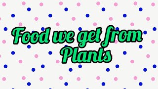 Food We Get From Plants Zahiya Mazhar