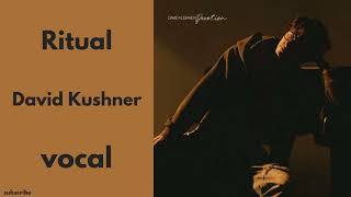 Ritual || David Kushner || vocal