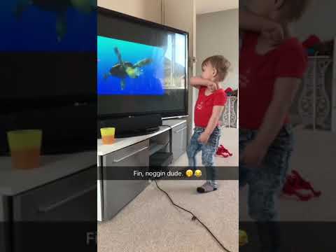 Finding nemos fin